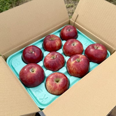 北垣外 瀧澤農園　完熟・葉とらず「サンふじ」3Kg(7～11玉入り)