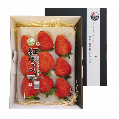 ふるさと納税 【特選贈答用】南信州産「いちご」(5Lサイズ以上×9粒・500g)