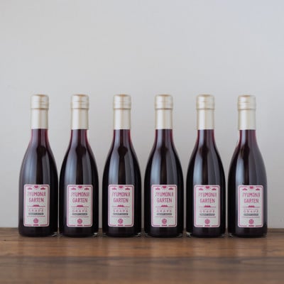 黒ぶどうジュース100%スパークリング(250ml×6本)