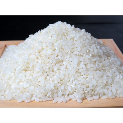 令和4年長野県産 ミルキークイーン白米10kg炊飯食味値87点とても美味しいミネラル仕上げ米