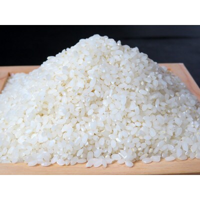 令和4年産ミルキークイーン白米10kg×2袋20kg炊飯食味値87点美味しいミネラル仕上げ米