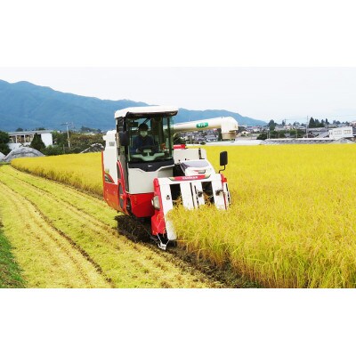 令和4年産ミルキークイーン白米10kg×2袋20kg炊飯食味値87点美味しいミネラル仕上げ米