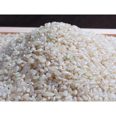 令和5年産 風さやか　炊飯食味値85点食べ応えある美味しい玄米10kgミネラル仕上げ米