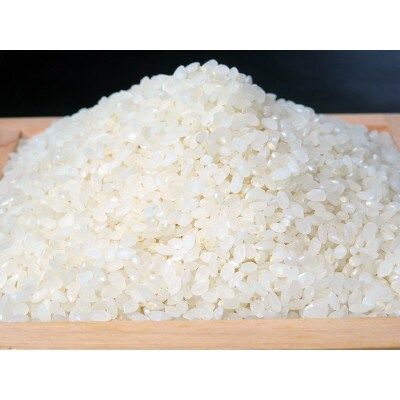 令和5年産　風さやか炊飯食味値85点　食べ応えある美味しい白米5kg　ミネラル仕上げ米