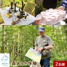 駒ヶ岳山麓リゾート森あるき体験 2名様分 道の駅しかべ間歇泉公園 入園券付 OK02