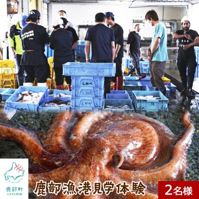 鹿部漁港見学体験 2名様分 道の駅しかべ間歇泉公園 入園券付 OK03
