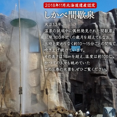 道の駅しかべ間歇泉公園 入園券 2名様分 NK02-2