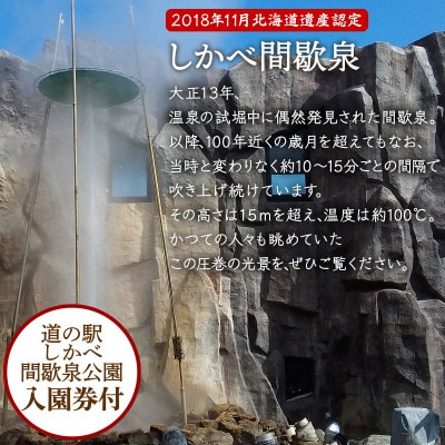 蒸し釜体験チケット3名様分 SS43