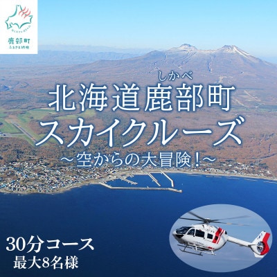 北海道鹿部町スカイクルーズ チケット 30分コース 最大8名様 SH02