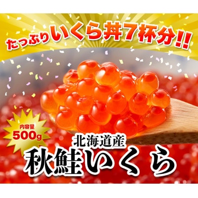 北海道産いくら 500g(250g×2) D2-5