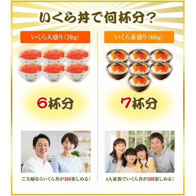 北海道産いくら 500g(250g×2) D2-5