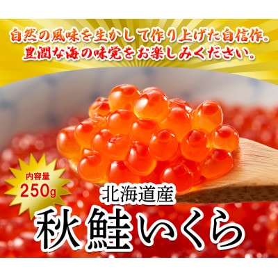 北海道産いくら 250g D3