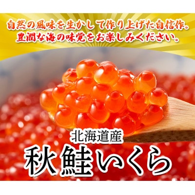 北海道産いくら 500g(250g×2) D2-6