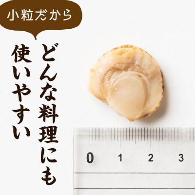 【北海道産】ボイルベビーホタテSSサイズ 900g(300g×3袋)T38-4S