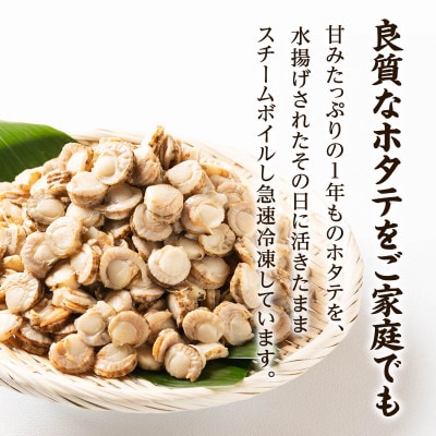 【北海道産】ボイルベビーホタテSSサイズ1kg T40-4S