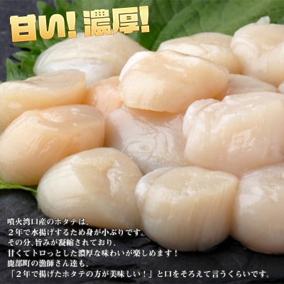 【北海道産】お刺身用 ホタテ貝柱 1.2kg (300g×4袋) T45-3