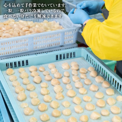 【北海道産】お刺身用 ホタテ貝柱 1.2kg (300g×4袋) T45-3