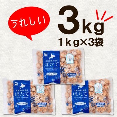 【北海道産】ボイルベビーホタテSSサイズ3kg T04-7