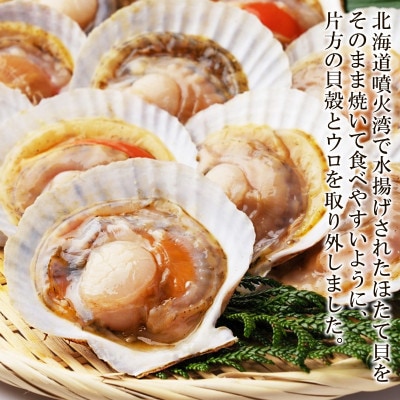【北海道産】ハーフシェル(ほたて片貝)1袋 T51