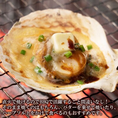 【北海道産】ハーフシェル(ほたて片貝)1袋 T51