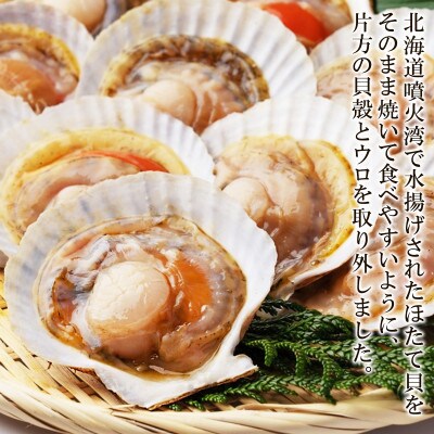【北海道産】ハーフシェル(ほたて片貝)4袋 T72