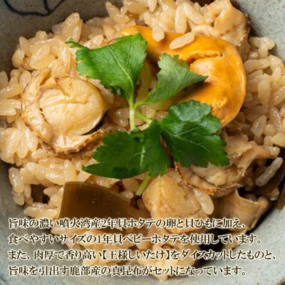 北海道産 ホタテゴロゴロ 炊き込みご飯の素 220g×2袋 2合炊き T78