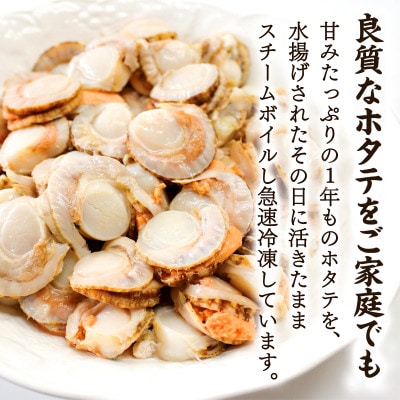【北海道産】ボイルベビーホタテLサイズ1kg T43-3