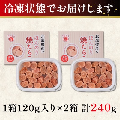 北海道産 お試し ほんのり焼たらこ 120g×2個(計240g) MC150S