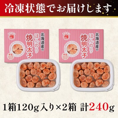 北海道産 お試し ほんのり焼明太子 120g×2個(計240g) MC151S
