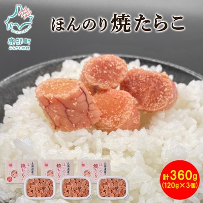 北海道産 ほんのり焼たらこ 120g×3個(計360g) MC050-4S