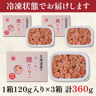 北海道産 ほんのり焼たらこ 120g×3個(計360g) MC050-4S