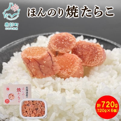 北のハイグレード食品2021 北海道産ほんのり焼たらこ 120g×6個(720g) MC054-4S