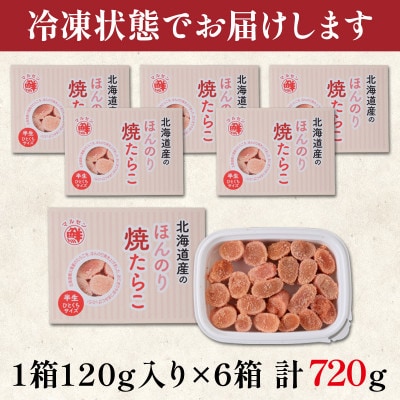 北のハイグレード食品2021 北海道産ほんのり焼たらこ 120g×6個(720g) MC054-4S