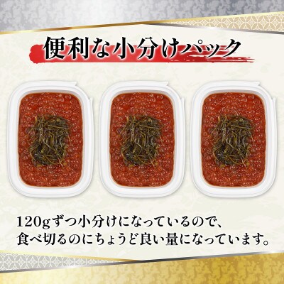 丸鮮道場水産 北海道産がごめいくら 120g×3個(計360g) MC083-8