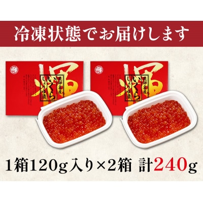 丸鮮道場水産 北海道産いくらしょうゆ漬け 120g×2個(計240g) MC095-7