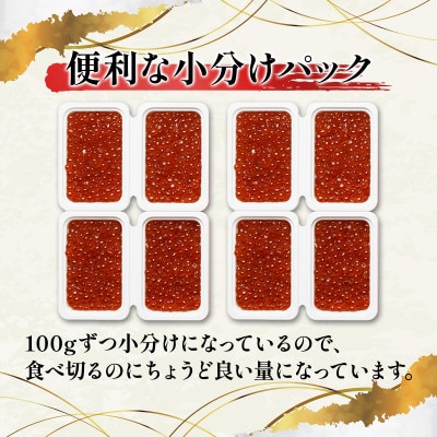 丸鮮道場水産 北海道産いくらしょうゆ漬け 100g×8個(計800g) MC058-4