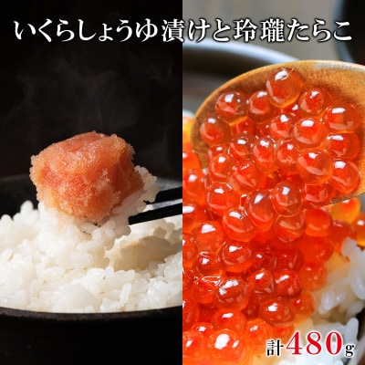 丸鮮道場水産 いくらしょうゆ漬けと玲瓏たらこ 120g×各2個(計480g) MC099-6