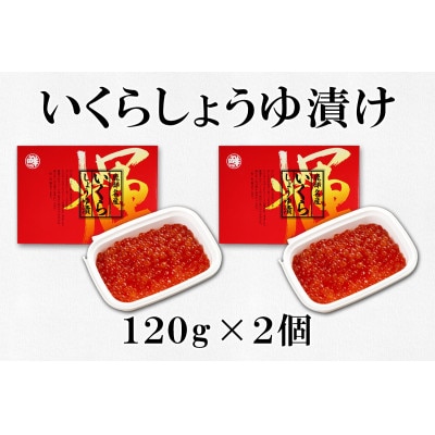 丸鮮道場水産 いくらしょうゆ漬けと玲瓏たらこ 120g×各2個(計480g) MC099-6