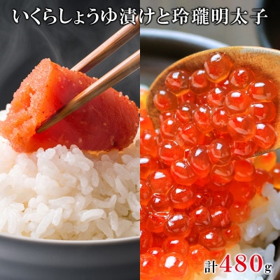 丸鮮道場水産 いくらしょうゆ漬けと玲瓏明太子 120g×各2個(計480g) MC100-6