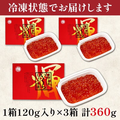 丸鮮道場水産 小分けで便利! 北海道産いくら 360g(120g×3パック) MC128-4