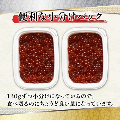 丸鮮道場水産 鮭っ子しょうゆ味(筋子) 120g×2個 MC129-4