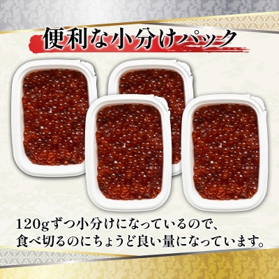 丸鮮道場水産 一口サイズに切り分けた筋子(秋鮭の卵) 120g×4個 MC130-4
