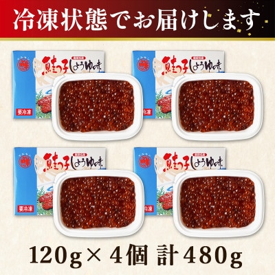 丸鮮道場水産 一口サイズに切り分けた筋子(秋鮭の卵) 120g×4個 MC130-4