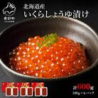 丸鮮道場水産 小分けで便利!北海道産いくら 600g(100g×6パック) MC131-4