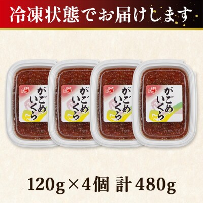丸鮮道場水産 北海道産がごめいくら 120g×4個(計480g) MC161-3