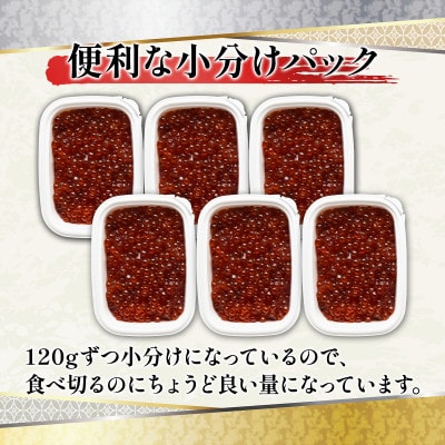 丸鮮道場水産 鮭っ子しょうゆ味 120g×6個(計720g) MC162-3