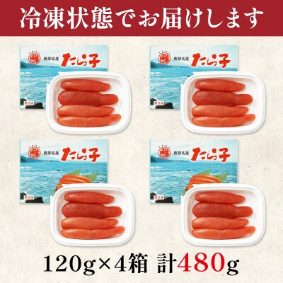 丸鮮道場水産 大手百貨店でも人気の前浜たらこ 120g×4 MC174