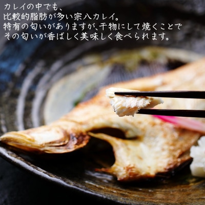 冷凍軽石干し 宗八カレイ 5尾入り 合計1kg  F24-4S
