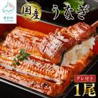 国産うなぎ蒲焼き 1尾 F65