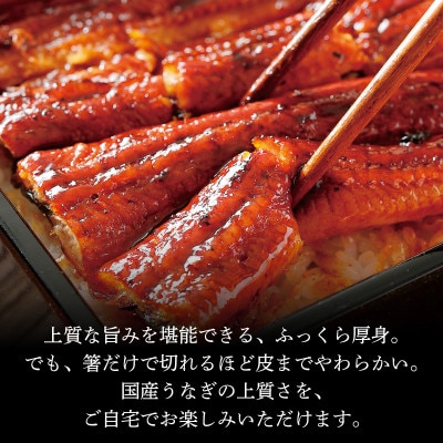 国産うなぎ蒲焼き 3尾 F67